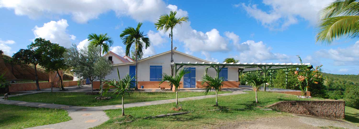 Les plates-formes de production Martinique Palmier